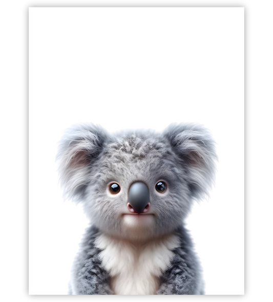Poster, Wandbild von Tierbaby Koala