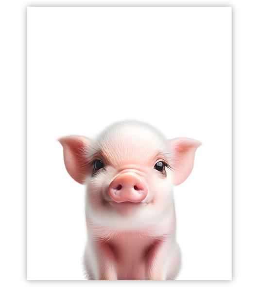 Poster, Wandbild von Tierbaby Schwein