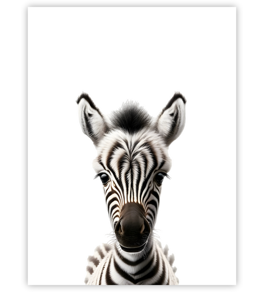 Poster, Wandbild von Tierbaby Zebra