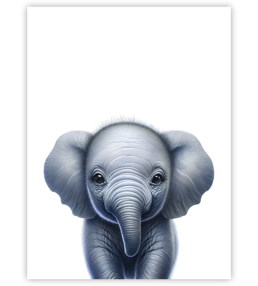 Poster, Wandbild von Tierbaby Elefant