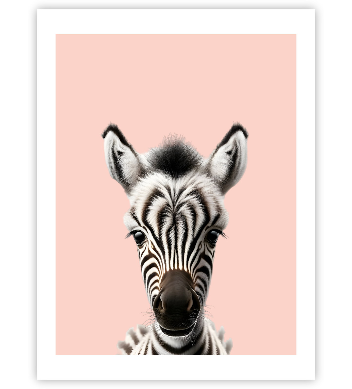 Tierbaby Zebra